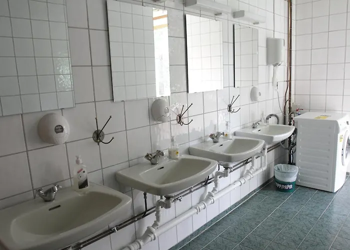 Leir بيت شباب *