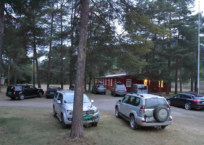 Leir بيت شباب